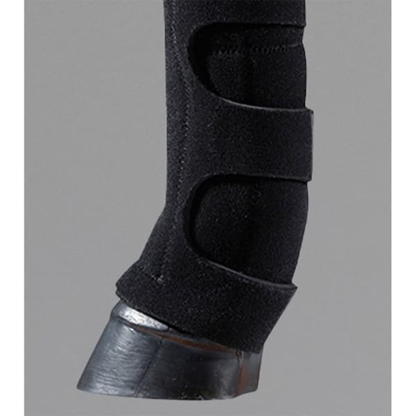 Premier Equine 6 Pocket Ice Senstövlar