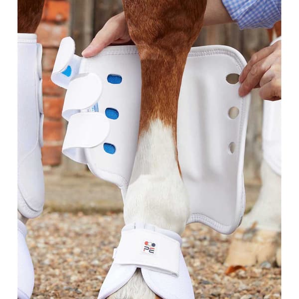 Premier Equine Air Cooled Original Eventing Senstövlar  Hind XS