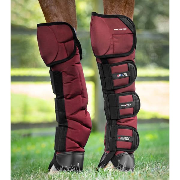 Premier Equine Ballistic Knee Pro-tech Travel Boot Senesko  M