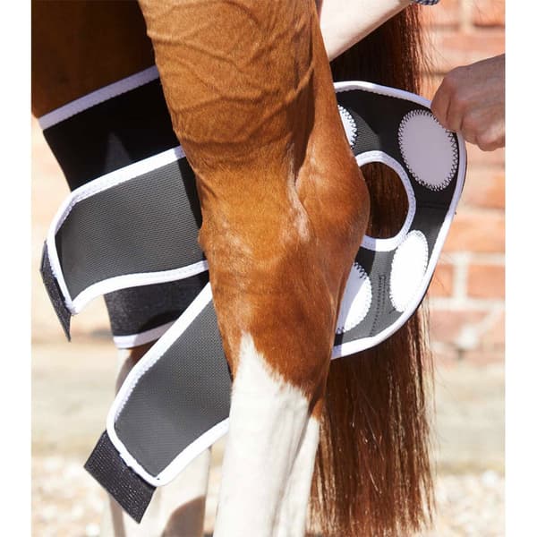 Premier Equine Bi-polar Magni-teque Hock Senesko