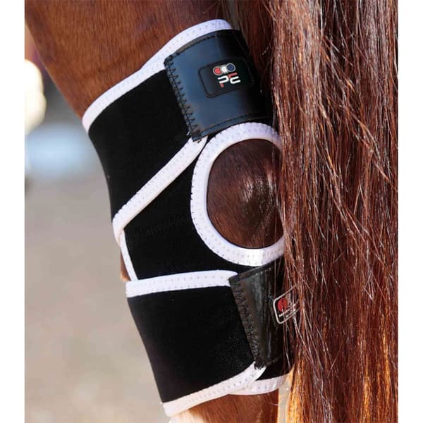 Premier Equine Bi-polar Magni-teque Hock Senesko