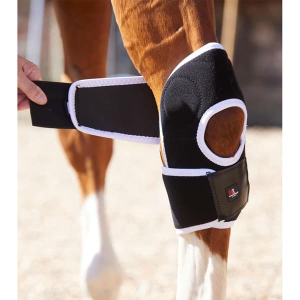 Premier Equine Bi-polar Magni-teque Hock Senesko