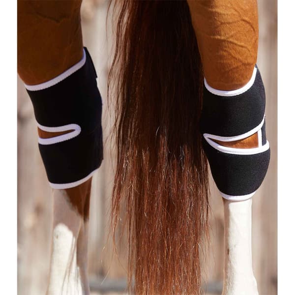 Premier Equine Bi-polar Magni-teque Hock Senesko