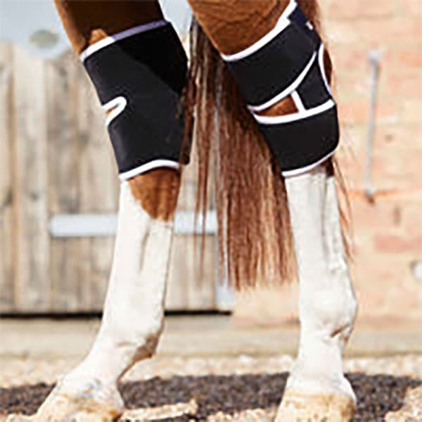 Premier Equine Bi-polar Magni-teque Hock Senesko
