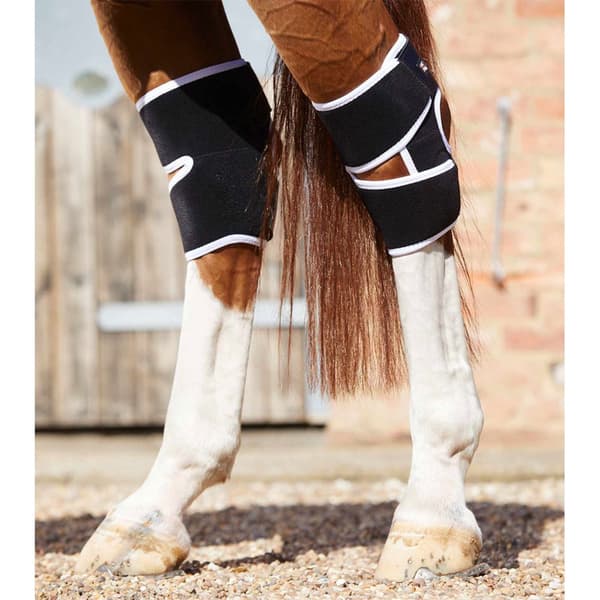Premier Equine Bi-polar Magni-teque Hock Senesko