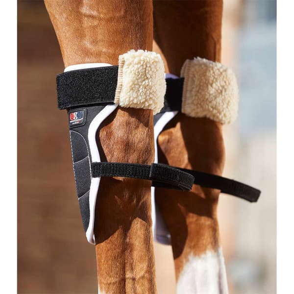 Premier Equine Bi-polar Magni-teque Knee Senesko