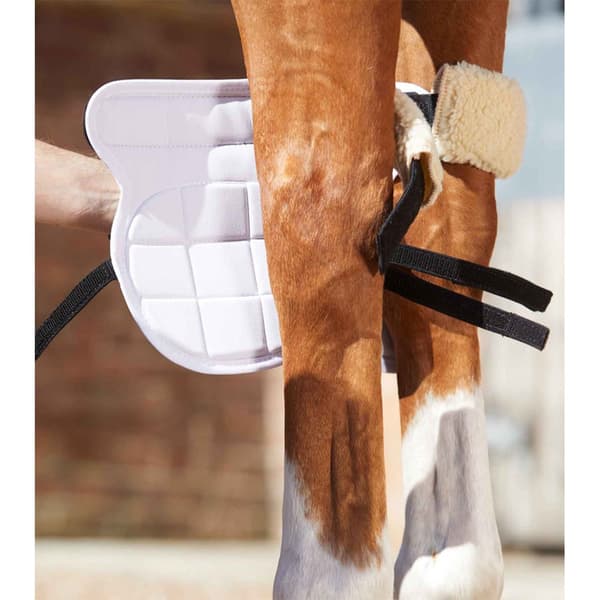 Premier Equine Bi-polar Magni-teque Knee Senesko