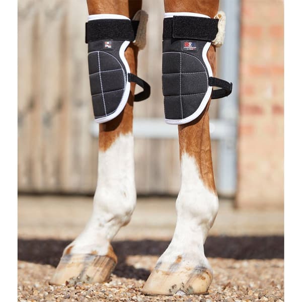 Premier Equine Bi-polar Magni-teque Knee Senesko
