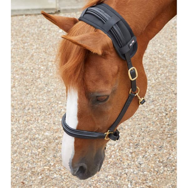 Premier Equine Bi-polar Magni-teque Poll Siteet