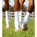 Miniatyrbillede 5 af 5: Premier Equine Carbon Air-tech Single Locking Brushing Senesko Beige S