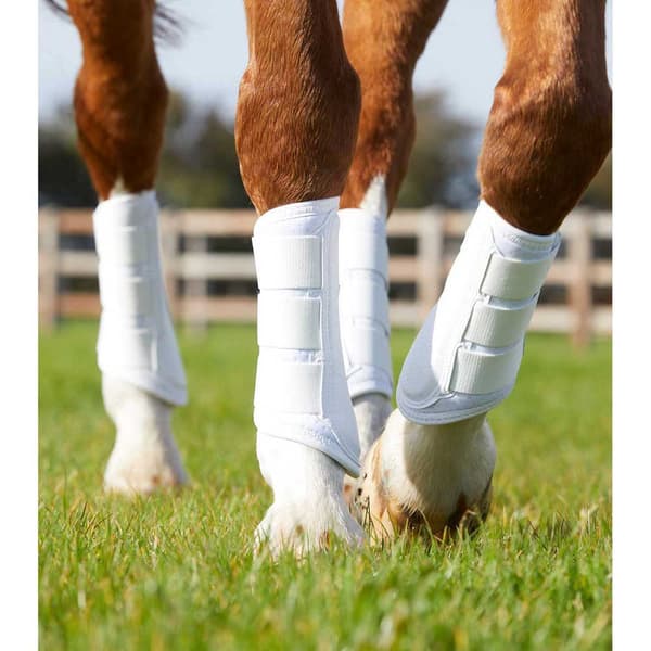 Premier Equine Carbon Air-tech Single Locking Brushing Senesko Beige S