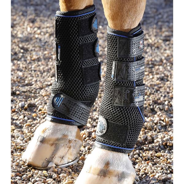 Premier Equine Cold Water Compression Senesko  L