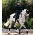 Miniatyrbillede 5 af 5: Premier Equine Techno Wool Brushing Senesko  XL