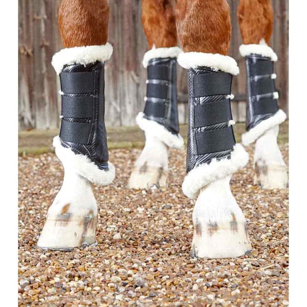 Premier Equine Techno Wool Brushing Senstövlar  L