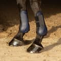 Miniatyrbillede 2 af 2: Harry´s Horse Next Senesko  Full