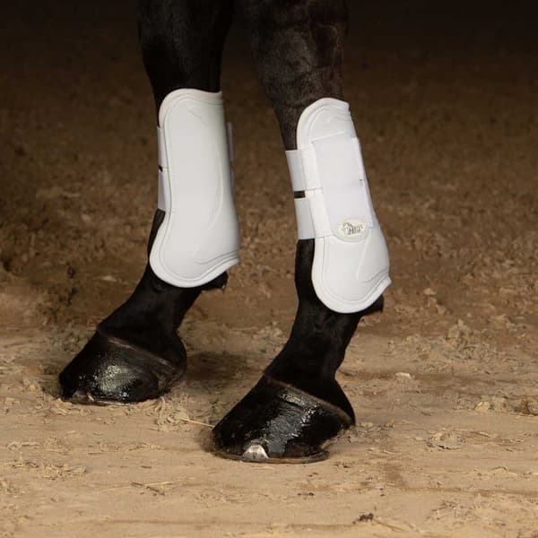 Harry´s Horse Next Jännekiinnikkeet  Cob