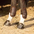 Pikkukuva 3 / 4: Harry´s Horse Percy Air Kaviosuojat  Full