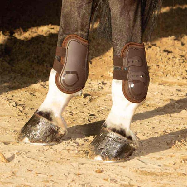 Harry´s Horse Percy Air Kaviosuojat  Full