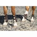 Pikkukuva 4 / 4: Harry´s Horse Percy Air Kaviosuojat  Full