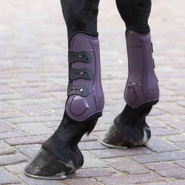 Harry´s Horse Percy Air Rosegold Senesko  Cob