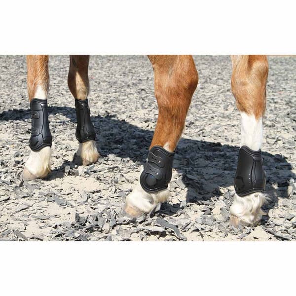 Harry´s Horse Percy Air Jännekiinnikkeet  Cob