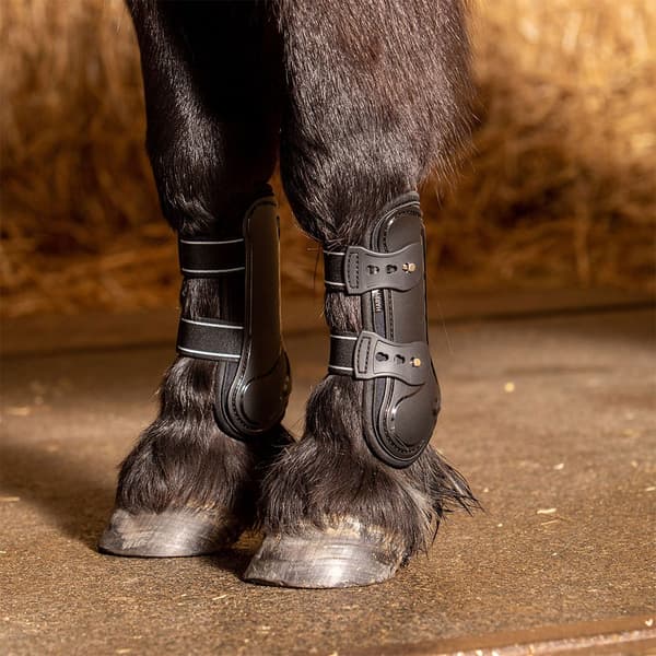 Harry´s Horse Pinlock Senesko  Shetland