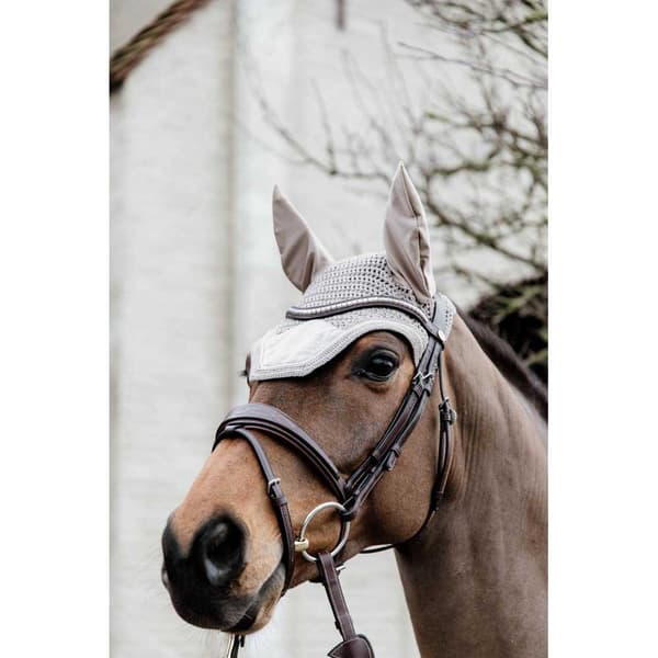 Kentucky Lentoreitti Wellington Basic Velvet  Cob