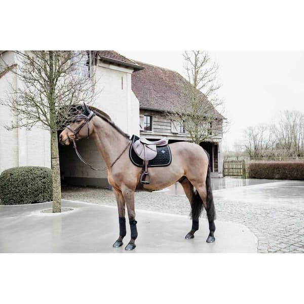 Kentucky Lentoreitti Wellington Basic Velvet  Cob