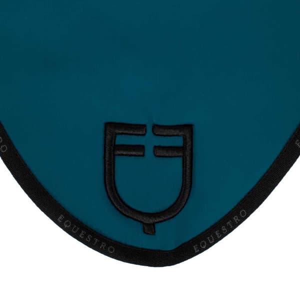 Equestro Gp Logo Fluegardin  Pony