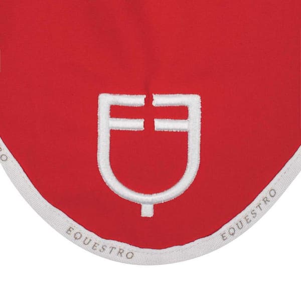 Equestro Gp Logo Fluegardin  Full