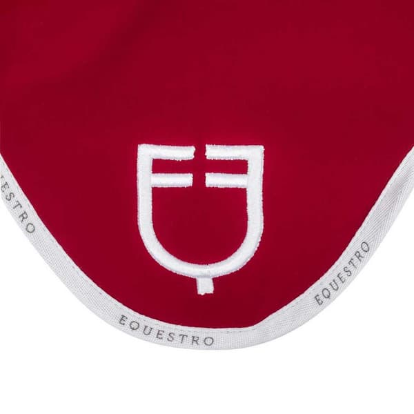 Equestro Gp Logo Fluegardin  Full