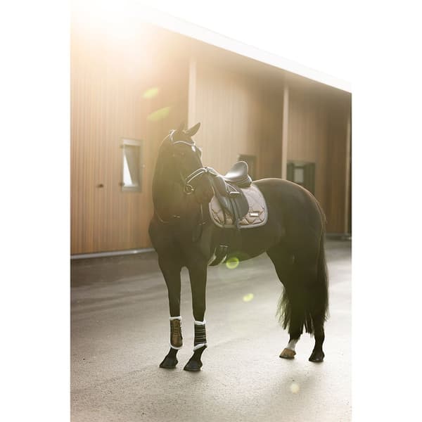 Imperial Riding Lovely Senesko Pony