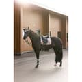 Miniatyrbild 2 av 2: Imperial Riding Lovely öronmuffar  Full
