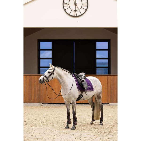 Imperial Riding Lovely Senesko  Cob
