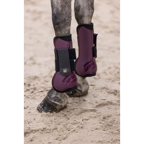 Imperial Riding Lovely Senesko  Cob