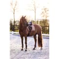 Miniatyrbild 3 av 3: Imperial Riding Lovely Senstövlar  Cob