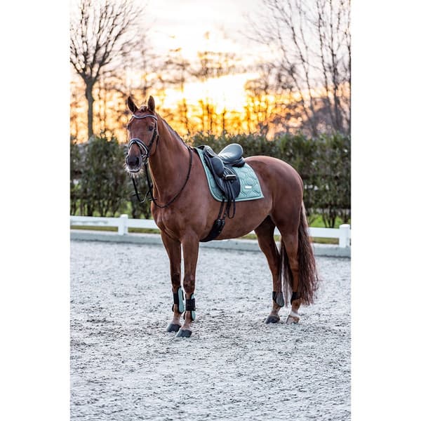 Imperial Riding Lovely Senesko  Full