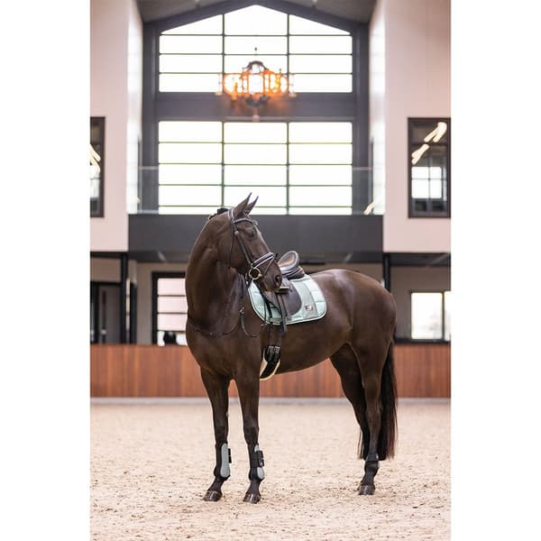 Imperial Riding Lovely Senesko  Full