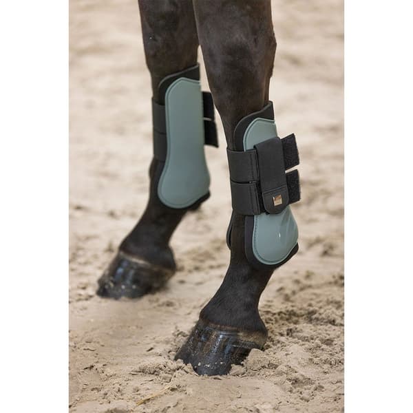 Imperial Riding Lovely Senesko  Full