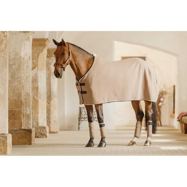 Kentucky Polar Fleece Show Vegan Bandage  Full