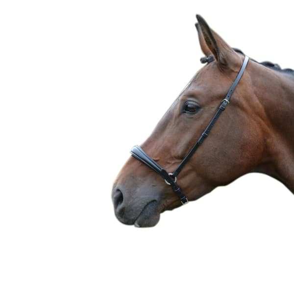 Hy Padded Drop Nose Band