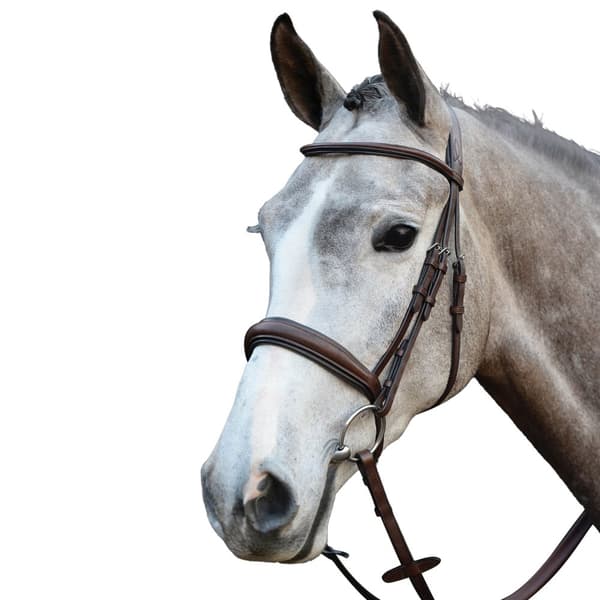 Collegiate Mono Crown Padded Raised Leather Cavesson Bridle