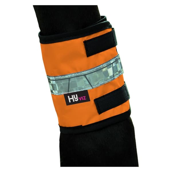 HyVIZ Leg Bands