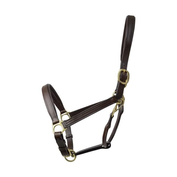 Coldstream Leather Padded Head Collar Brown Full