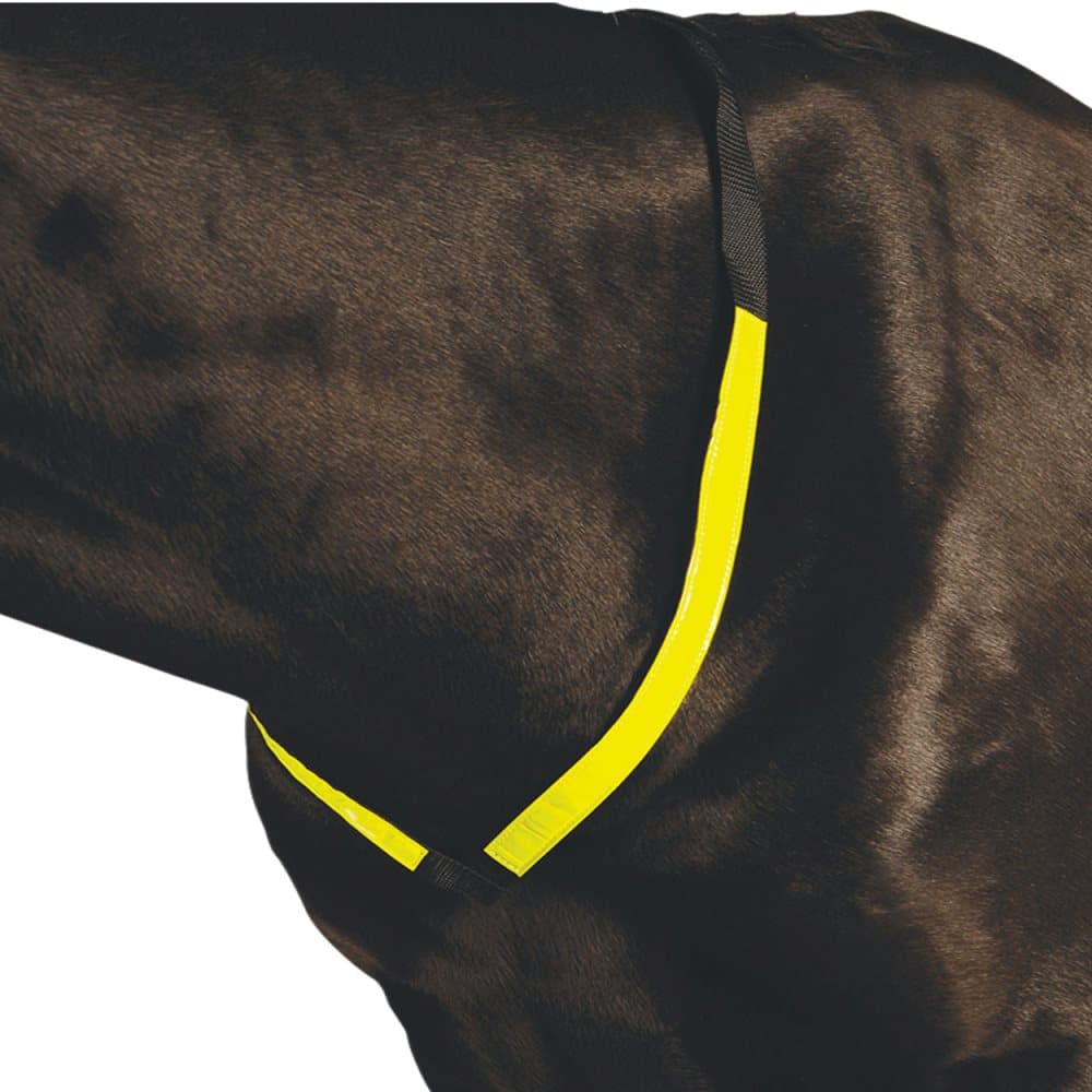 Roma Reflekterande bröstplatta