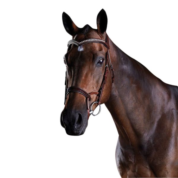 Collegiate Comfitec Patent Læder Bridle Brown Warmblood