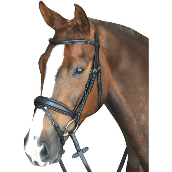 Collegiate Mono Crown Padded Raised Leather Flash Bridle Black Warmblood