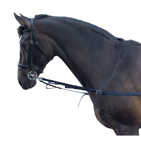 Whitaker Elastiske sidegreb