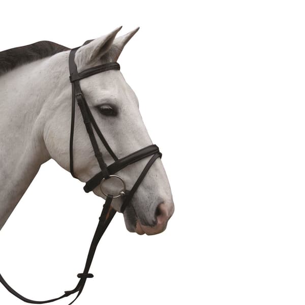 Hy Padded Flash Bridle with Rubber Grip Reins