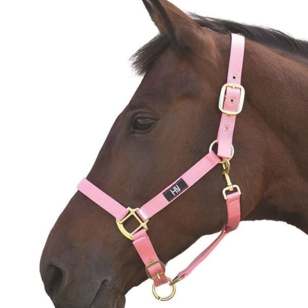Hy Head Collar